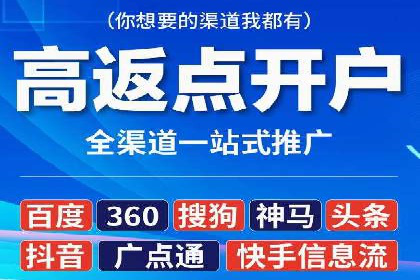 网络推广秘籍：竞价排名成功案例集锦
