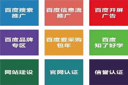 行业内的SEM竞价代运营公司优秀案例剖析